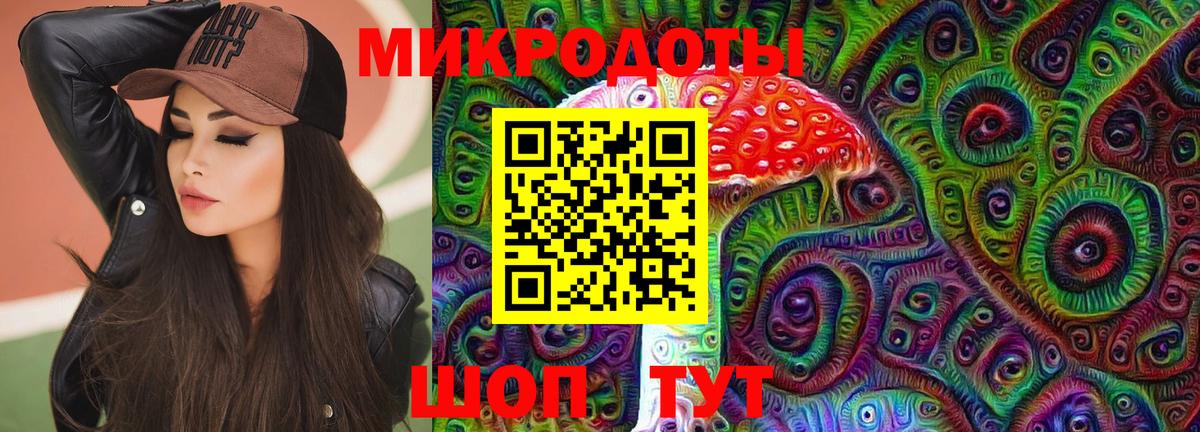Псилоцибиновые грибы Psilocybe Белгород