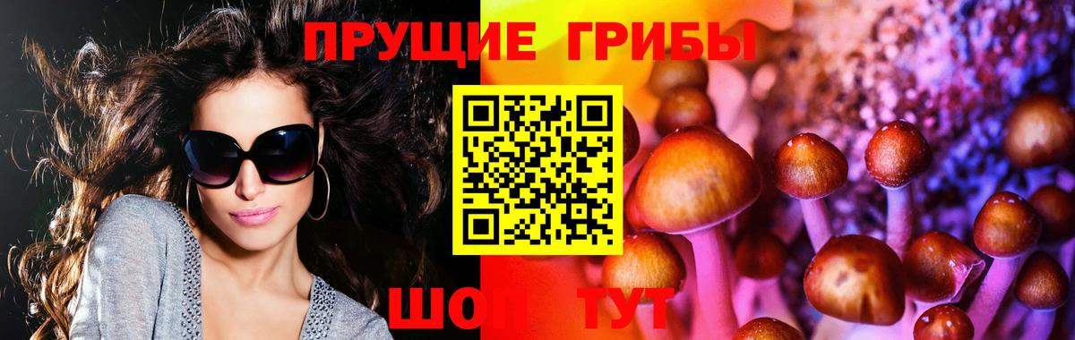 Белгород  Галлюциногенные грибы Psilocybe  купить закладку  Вход с VPN 
